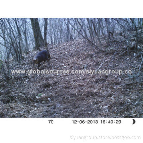 8MP Weather-proof IP66 Invisible IR Guard Motion Detector Surveillance Camera, Time Lapse